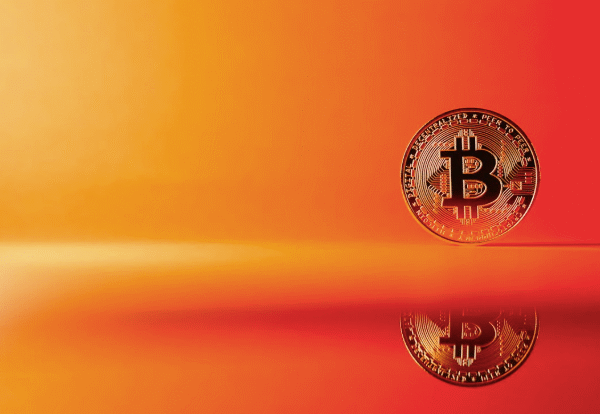 Crypto Infrastructure and Economic Innovation