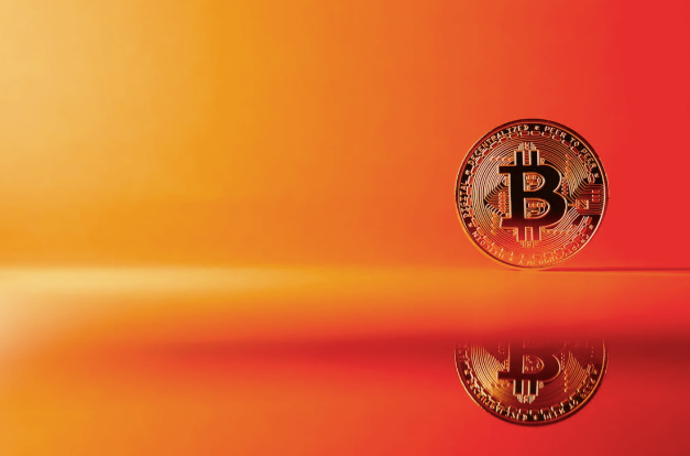 Crypto Infrastructure and Economic Innovation